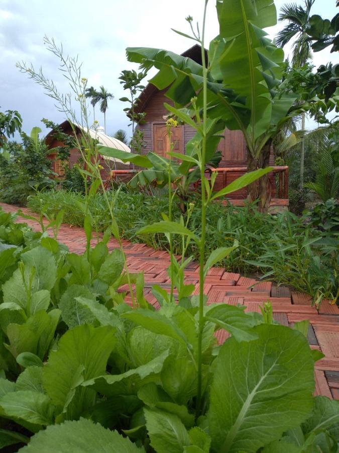 Hong Thai River Side Homestay Ben Tre Εξωτερικό φωτογραφία
