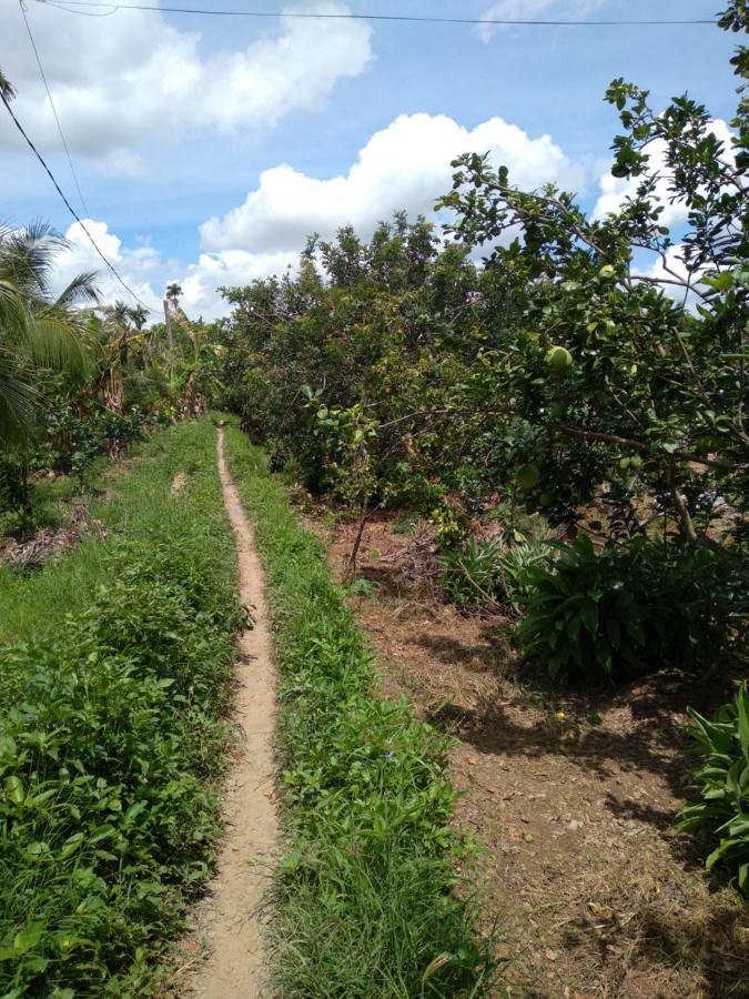 Hong Thai River Side Homestay Ben Tre Εξωτερικό φωτογραφία